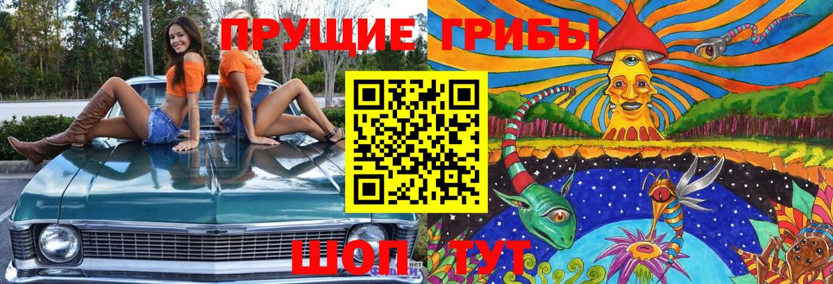 Галлюциногенные грибы Psilocybe  Вход с VPN  Галлюциногенные грибы GOLDEN TEACHER  Абакан 